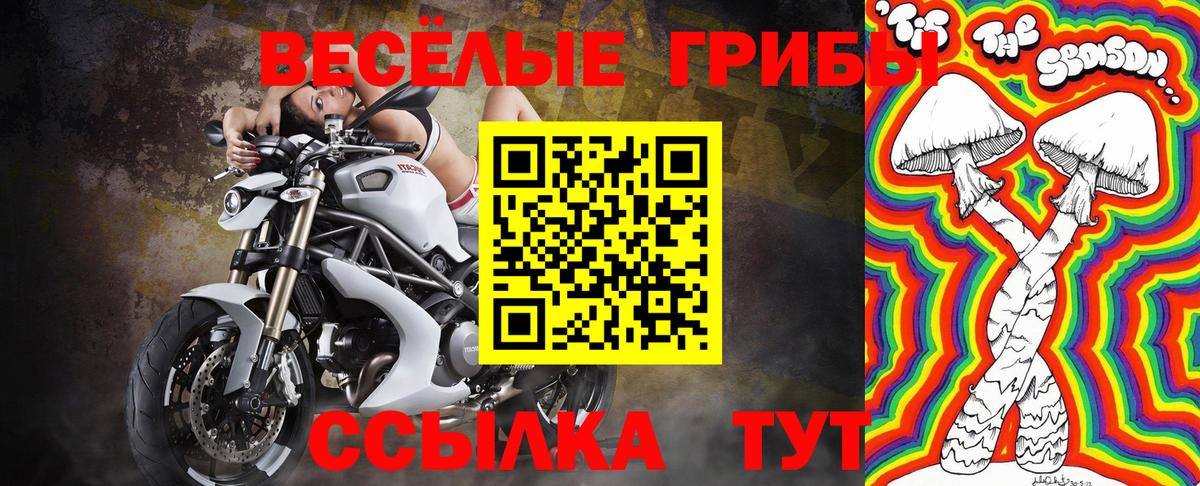 Псилоцибиновые грибы Psilocybe Аксай